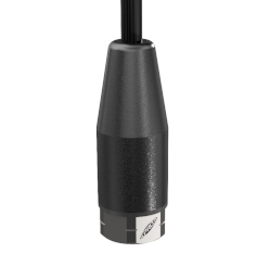 MCB211